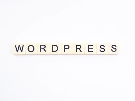 Wordpress Kosten